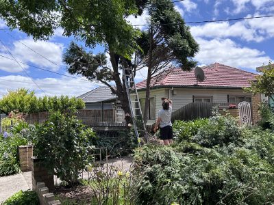 Great three bedroom home for family, pets welcome